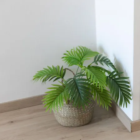 Hotel apartamentowy Jp Pool & Kardamena (Kos)