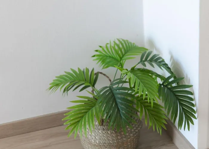 מלון דירות Jp Pool & Kardamena (Kos)